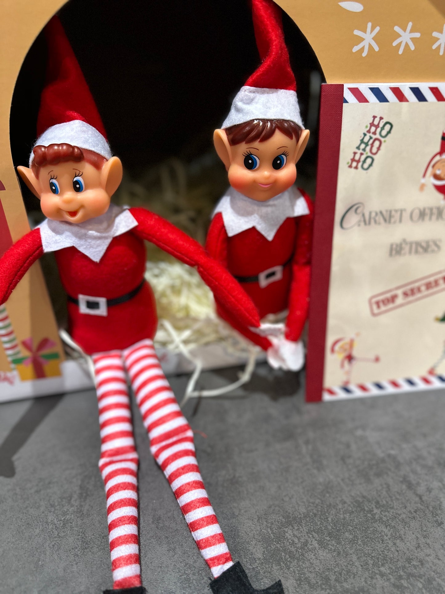 Carnet de bêtises SEUL