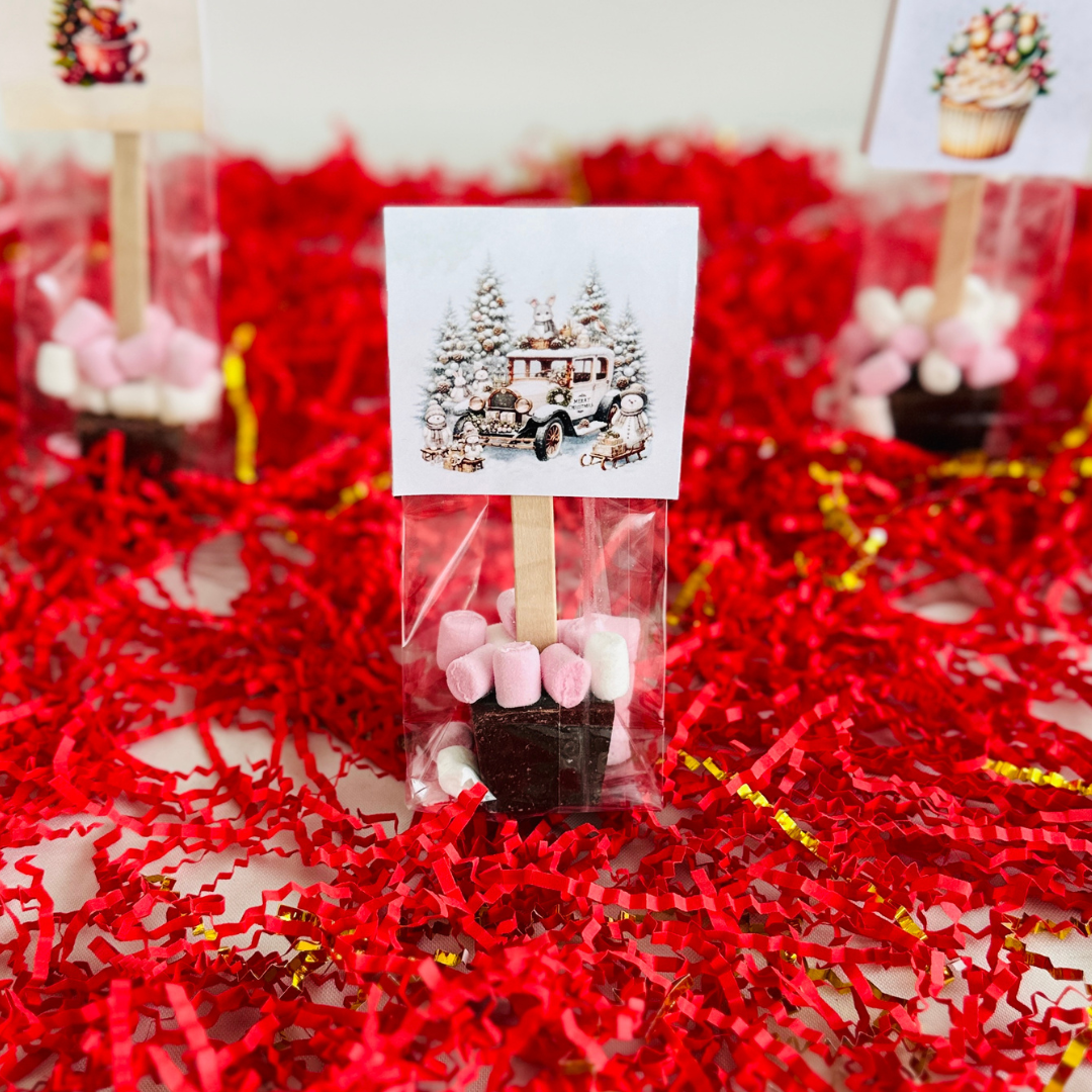 Bâtonnet chocolat chaud NOËL