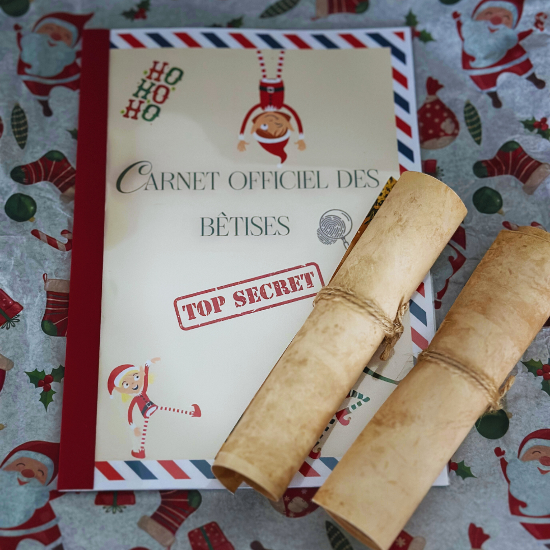 Carnet de bêtises SEUL